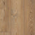 Berlin Pine / 9