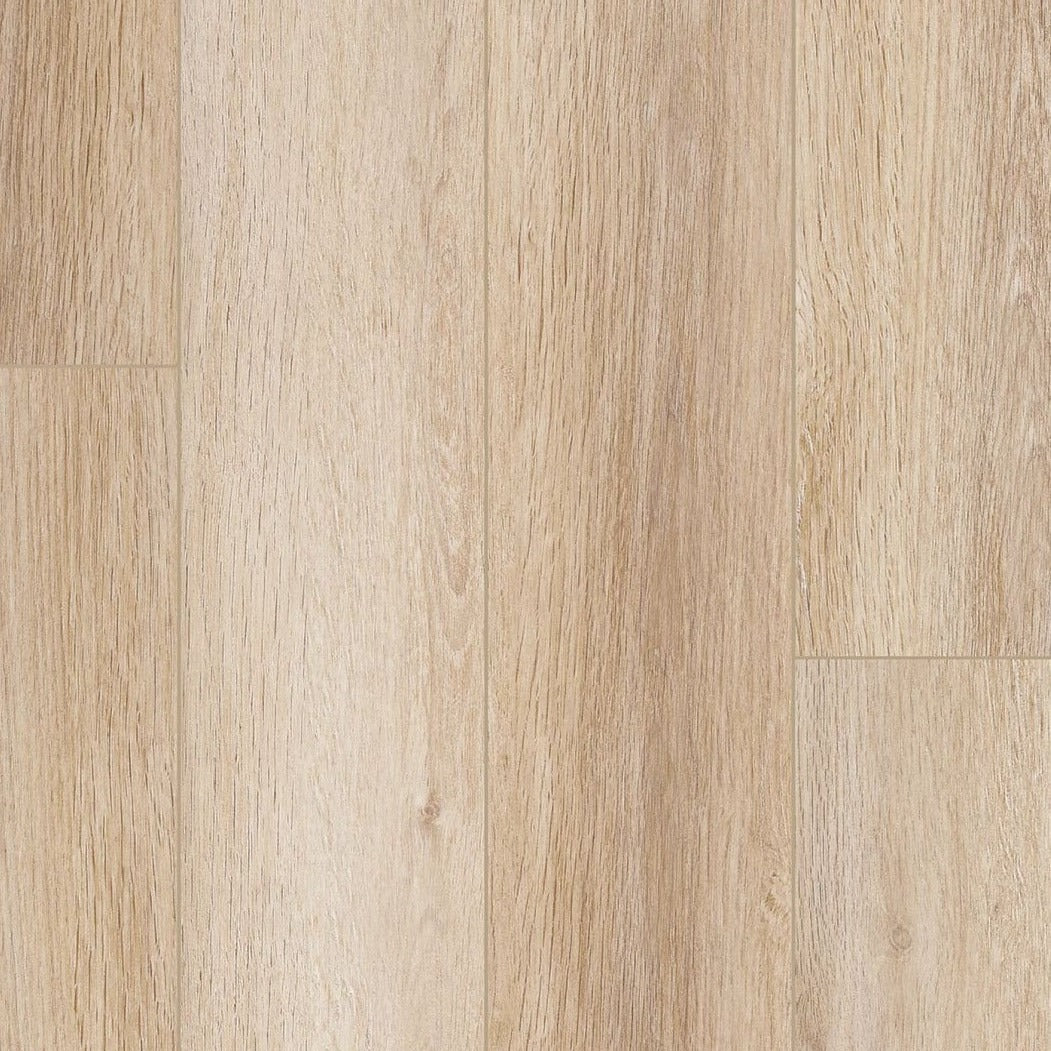 Aldergrove Oak / 7” x 48”