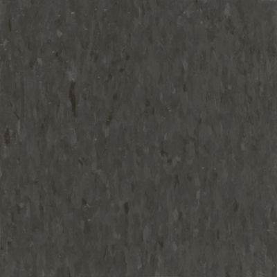 Armstrong Migrations T3540 Nightfall 12" x 12" Bio-Based Tile (45 SF/Box) (Warehouse #6)