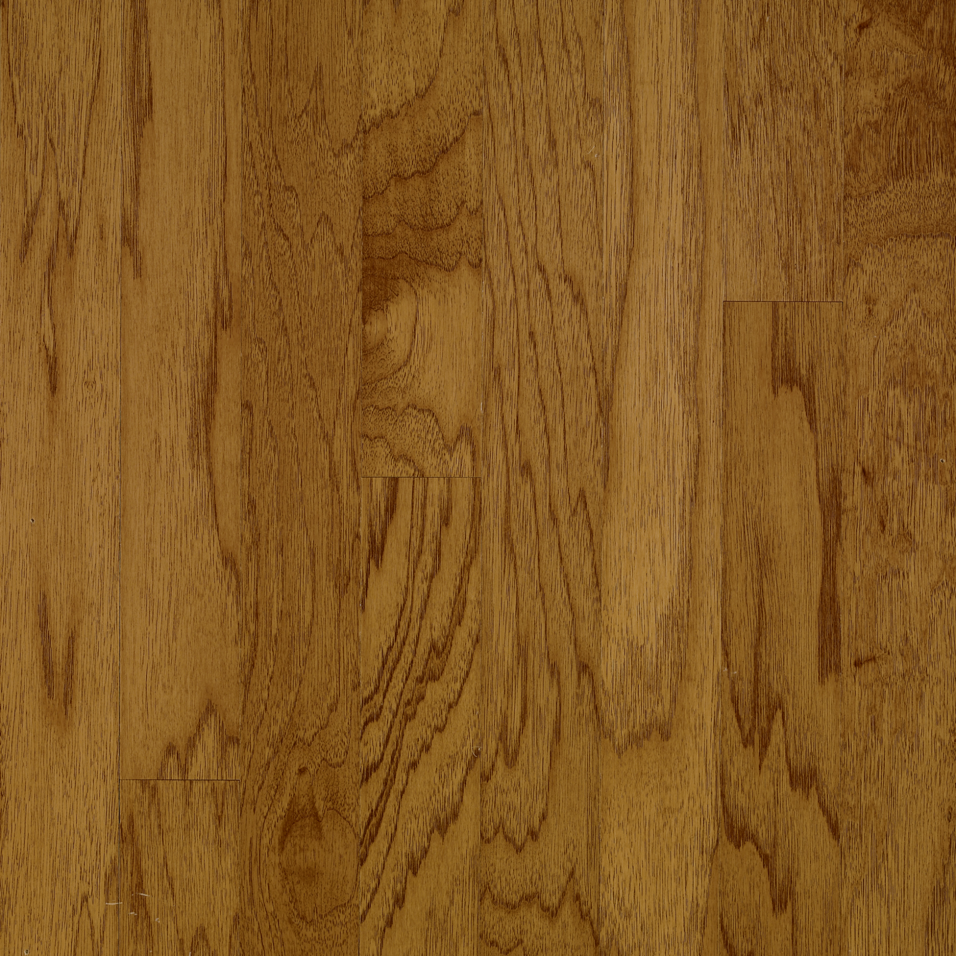Bruce Solid Hardwood Flooring Hickory American Treasures Oxford Brown 5" C5717