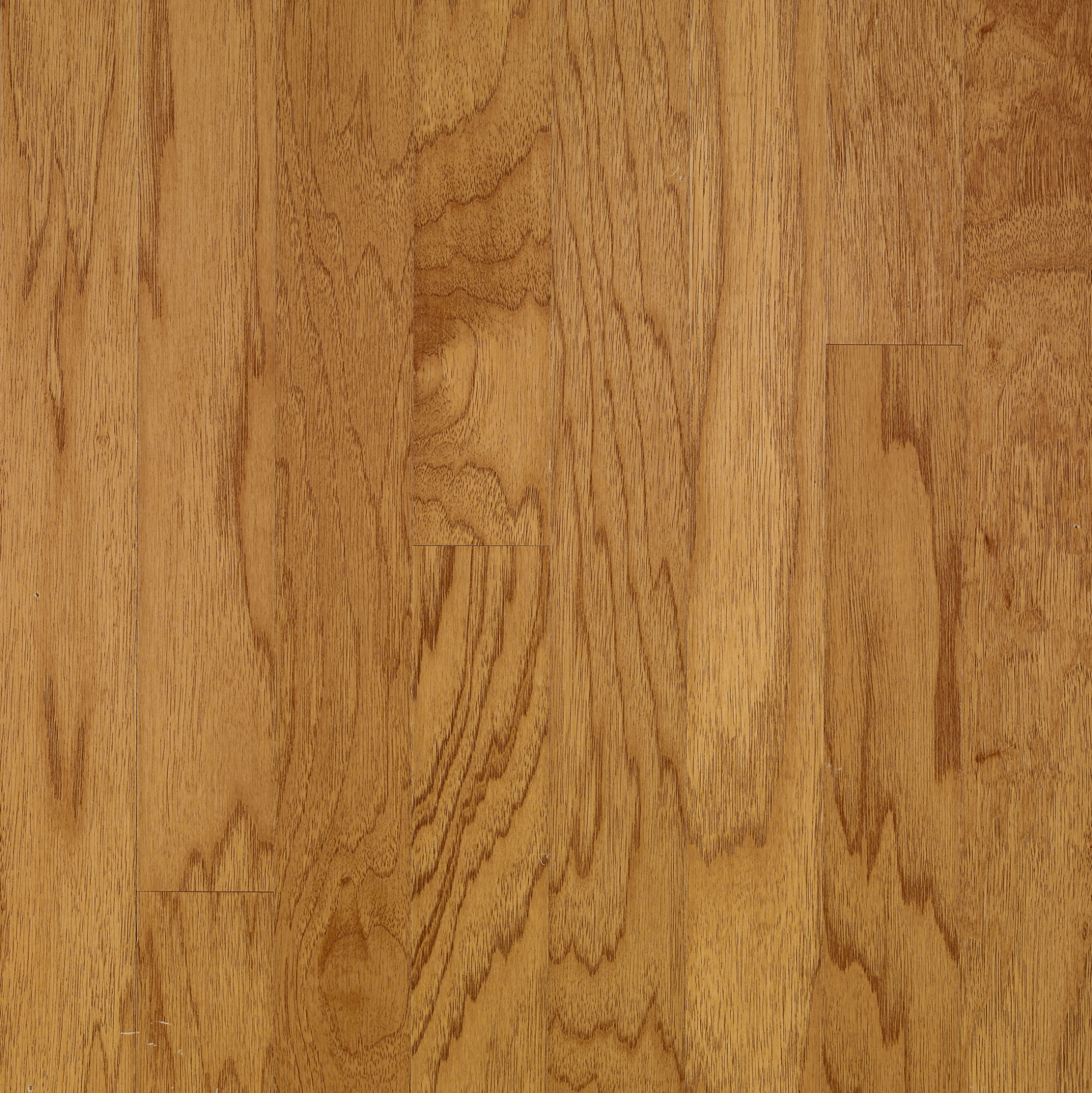 Bruce Solid Hardwood Flooring Hickory American Treasures Smokey Topaz 5" C5778