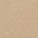 AHF Mixed and Variegated Homogeneous Sheet Vinyl 1HG2M016 Neutral Toned (78.74