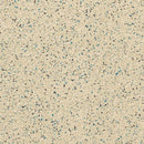AHF Distinct Inlaid Heterogeneous Sheet Vinyl 1NS2M703 Eclectic Tan (72.05