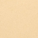 AHF Mixed and Variegated Homogeneous Sheet Vinyl 1HG2M015 Pacific Bluff (78.74