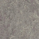 Forbo Marmoleum Modular Tile T2629-31512 Eiger 19.69