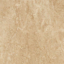 Forbo Marmoleum Modular Tile T2707-156346 Barley 9.8