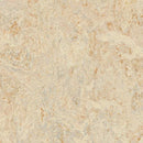 Forbo Marmoleum Modular Tile T3120-85820 Rosato 19.69