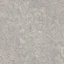 Forbo Marmoleum Modular Tile T3216-85824 Moraine 19.69