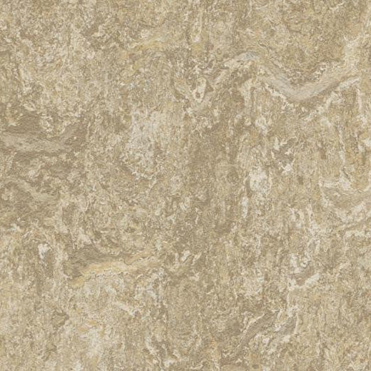 Forbo Marmoleum Modular Tile T3234-156337 Forest Ground 9.8" x 9.8" Linoleum Tile Flooring (26.91 SF/Box)