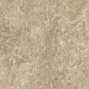 Forbo Marmoleum Modular Tile T3234-85835 Forest Ground 19.69