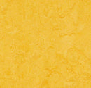 Forbo T3251 Lemon Zest (Partial Piece - Sample)