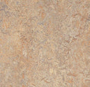 Forbo T3407 Donkey Island (Partial Piece - Sample)
