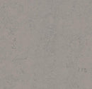 Forbo T3704 Satellite (Partial Piece - Sample)