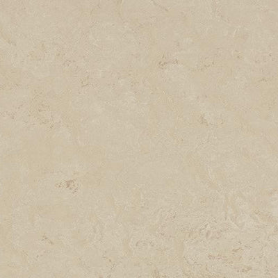 Forbo Marmoleum Modular Tile T3711-153241 Cloudy Sand 19.69" x 19.69" Linoleum Tile Flooring (53.82 SF/Box)