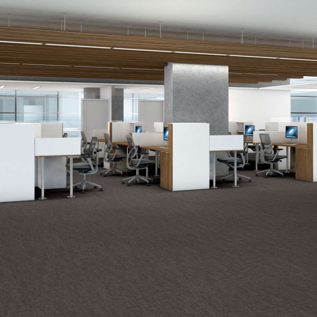 Shaw Authentic 5th & Main 54960-00504 Rightful 24" X 24" Carpet Tile (48 SF/Box)