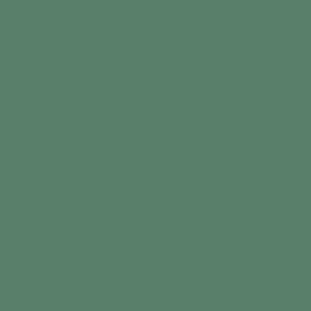 Tarkett / Johnsonite Millwork Corner Guard 1 1/4" x 8' by 1/4" VL8 Grinch (80 LF/box)