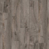 Galveston Oak