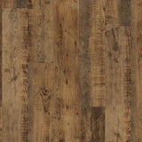 Duxbury Oak