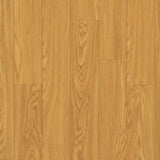 Rocky Mountain Oak