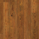 Carolina Pine