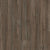 Keystone Pine / 7
