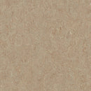 Forbo Marmoleum Click Cinch LOC Seal Waterproof Seal 935803 Weathered Sand 12
